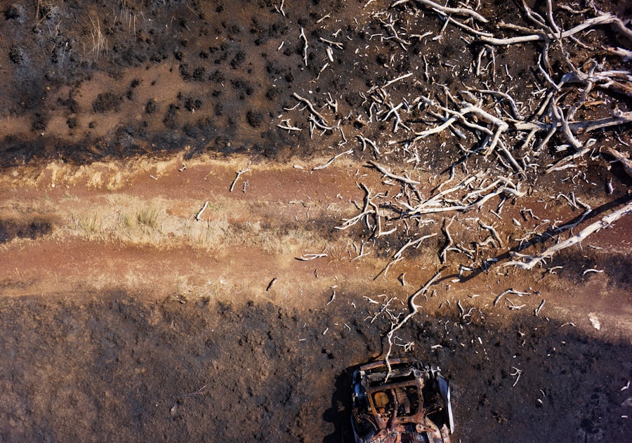 Aerial view of burnt out car in desert landscape, charred remains under scorching sun.
