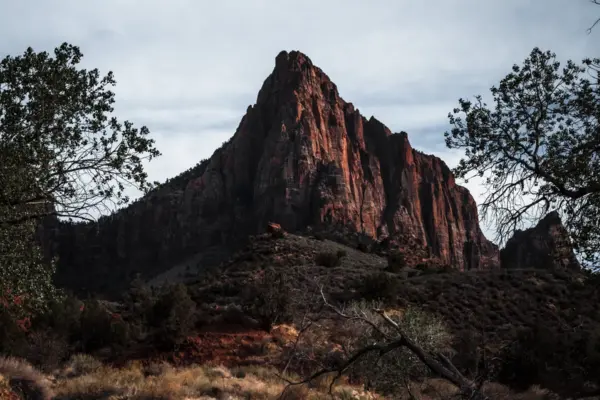 A towering rocky mountain with a rugged, jagged peak dominates the landscape, feeling like a majestic home to nature. Surrounding it, sparse vegetation including bushy trees and dry, grassy plants are visible under a partly cloudy sky. The scene exudes a stark, natural beauty.